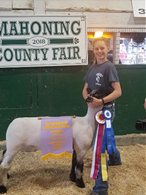 High Noon Winners