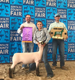 High Noon Winners