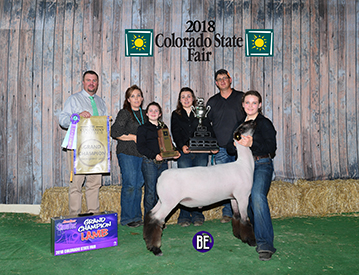 high Noon Feeds Winners