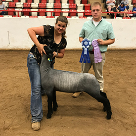 High Noon Winners