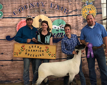 High Noon Winners
