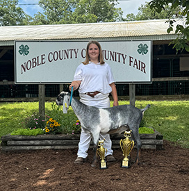 High Noon Winners
