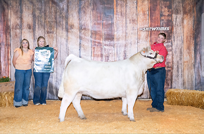 Reserve Champion Market Heifer
Larimer County Fair