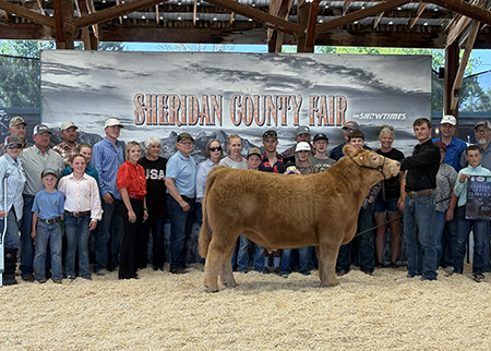 Grand Champion
Sheridan County Fair