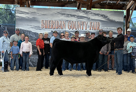 Reserve Grand Champion
Sheridan County Fair
