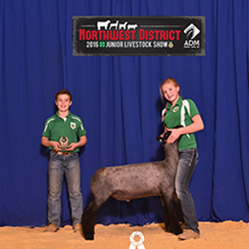 Winners