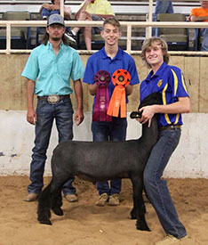 High Noon Winners