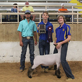 High Noon Winners