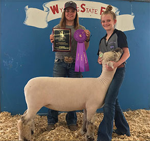 High Noon Winners