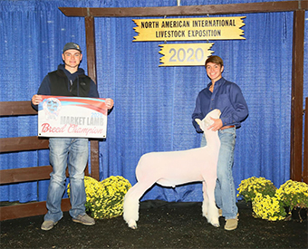 High Noon Winners