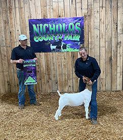High Noon Winners